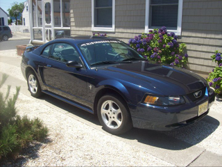 Illustration for article titled Let's post up pictures of all the Mustangs (and variants) I've had